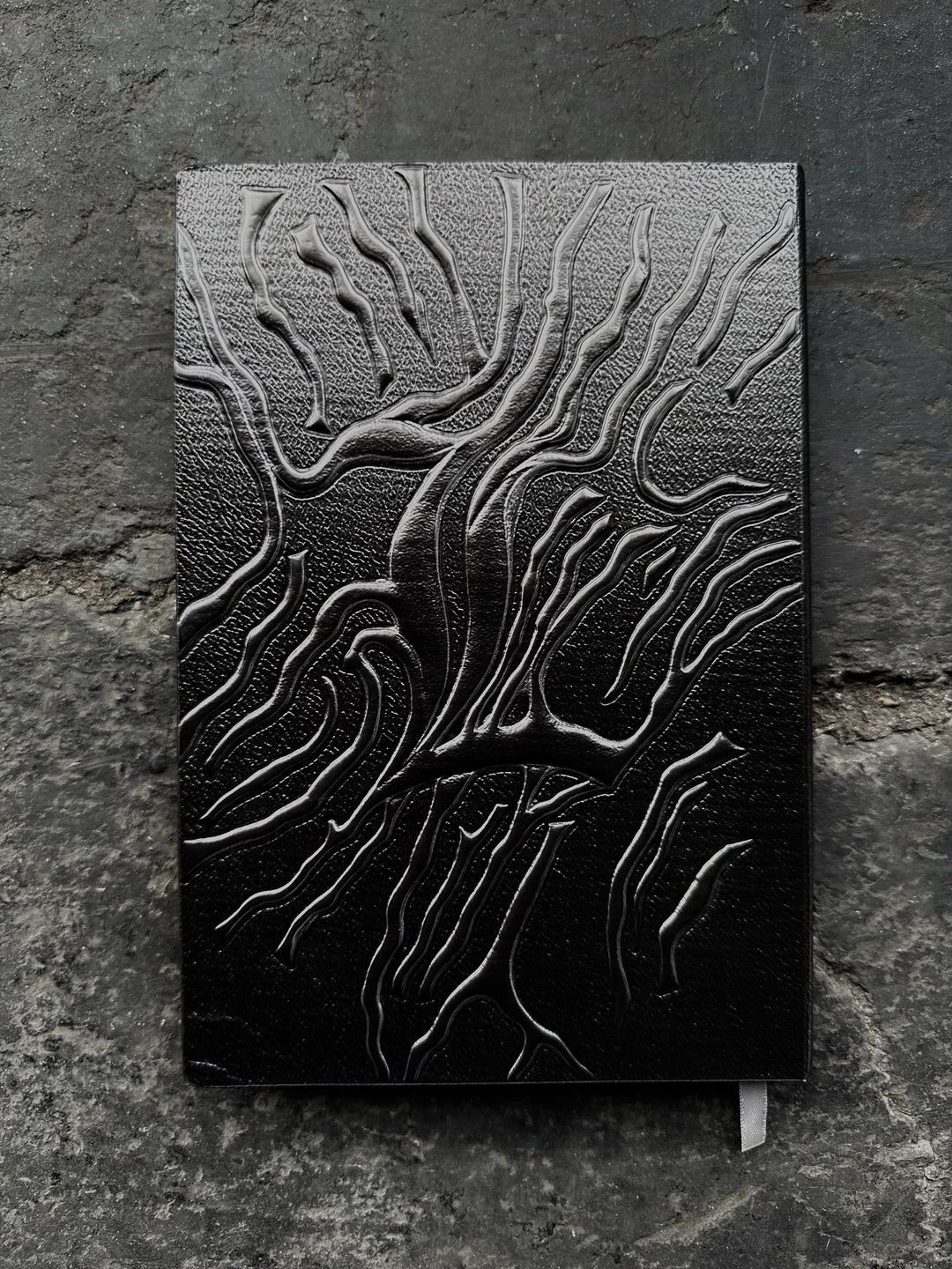 “DN” Notebook