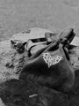 “N0IR” Ring