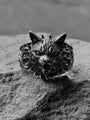 “LORE” Ring