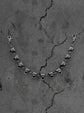 “TIMID” Wallet Chain