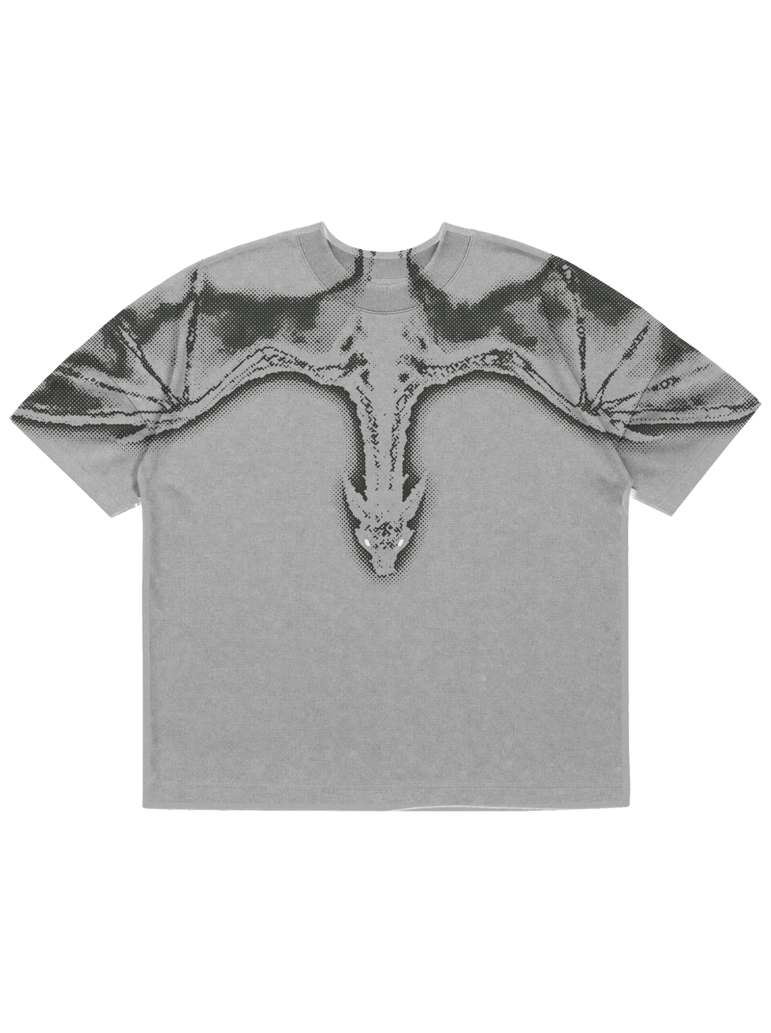 Dragon T-Shirt Grey front