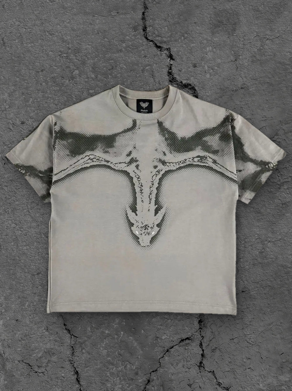 “Dragon” T-Shirt (Grey)