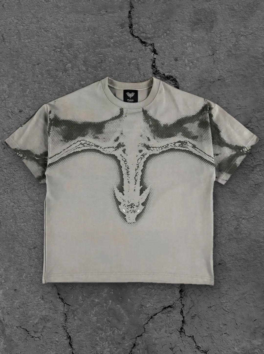 dragon t shirt grey