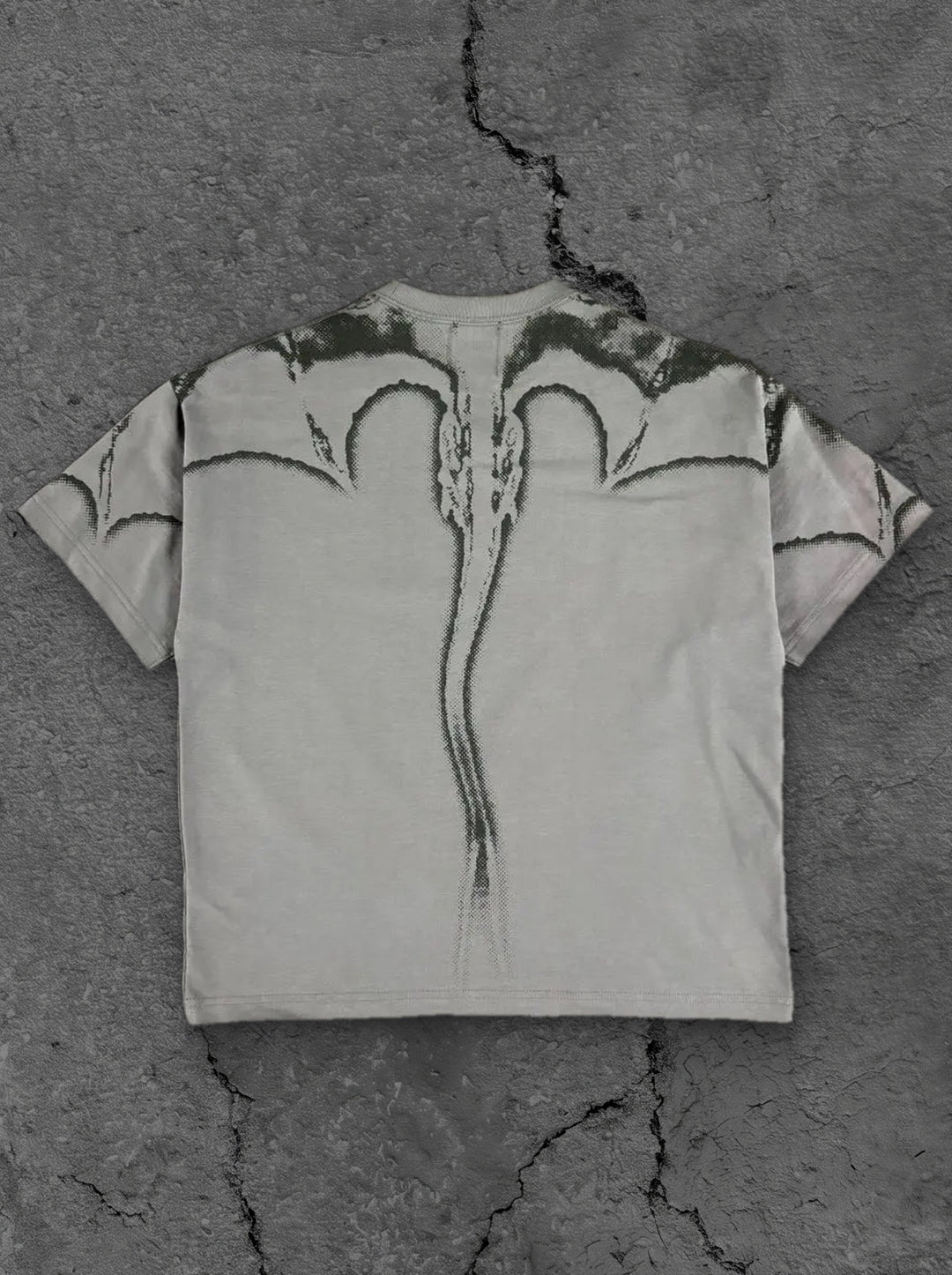 dragon t shirt grey